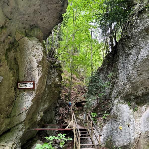 Steinwandklamm szurdok, Ausztria