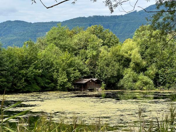 tó Gaming, Ausztria