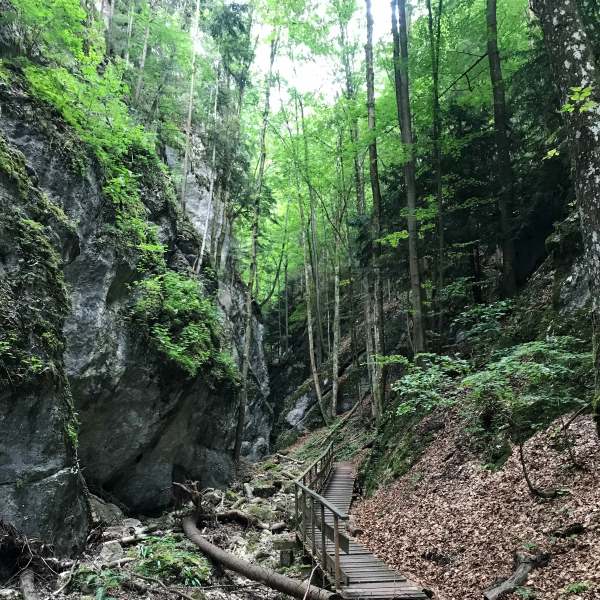 Steinwandklamm szurdok, Ausztria