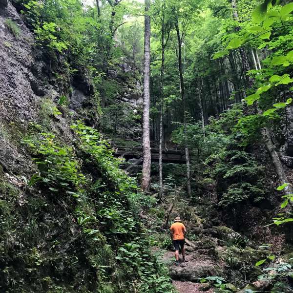 Steinwandklamm szurdok, Ausztria