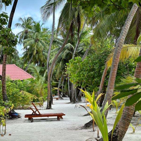 Medhufushi resort sziget, Maldív-szigetek