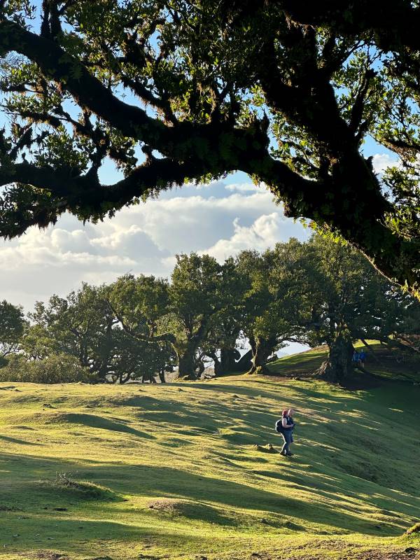 Madeira Fanal erdőben sétáló emberek, Portugália
