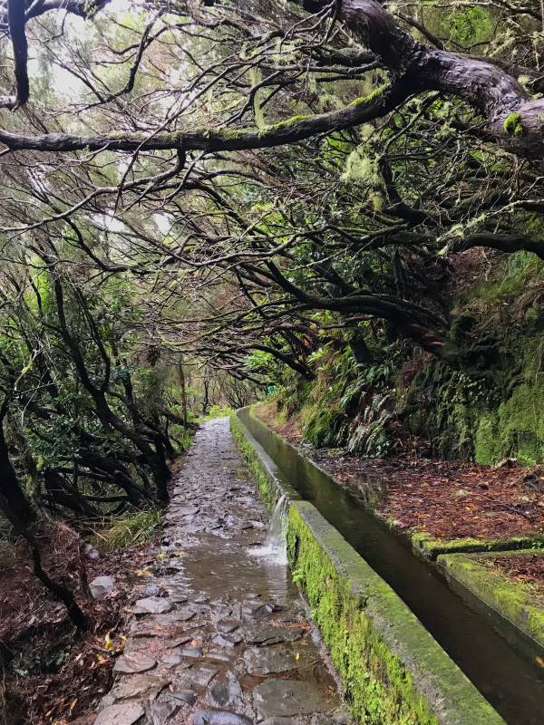 levada ahogyan túlcsordul az egész napos esőzés után, Madeira, Portugália