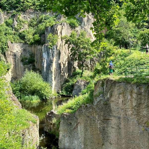 Megyer-hegyi Tengerszem, Magyarország