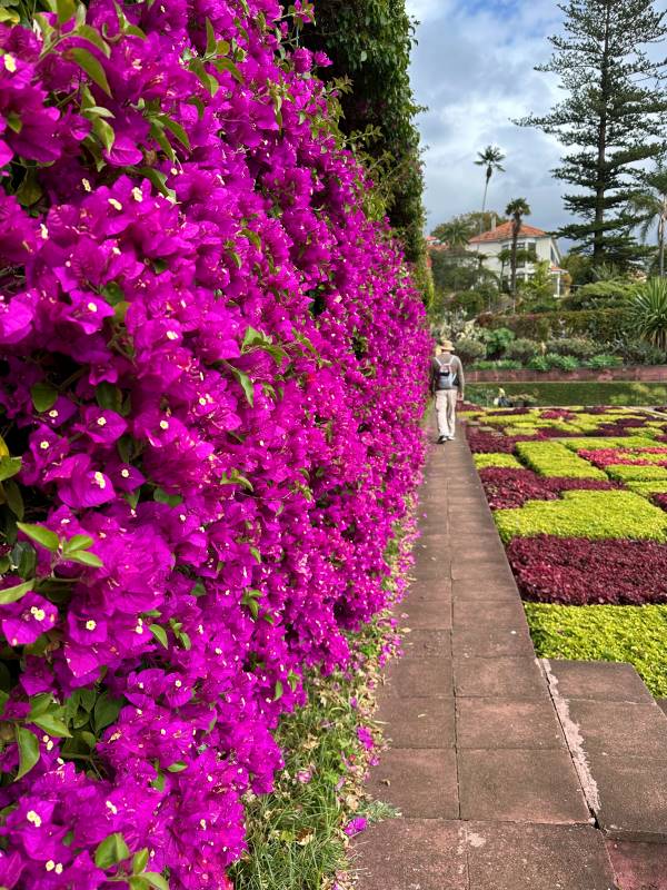 Botanikus Kert Funchal, Madeira, Portugália