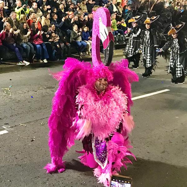 Funchal Karnevál, Madeira-szigetek,flamingo