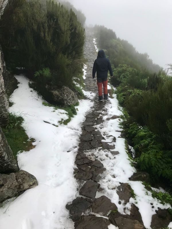 Jég a Pico Ruivionál található PR 1.2-es ösvényen, Madeira-szigetek, Portugália
