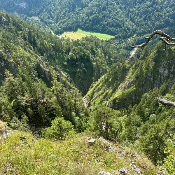 Kilátás Palfau, Ausztria