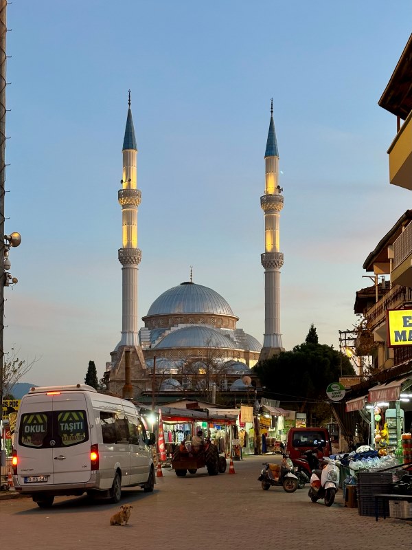 Karahayit, mecset, kóborkutya, térköves utcán, tipikus török településkép, Törökország